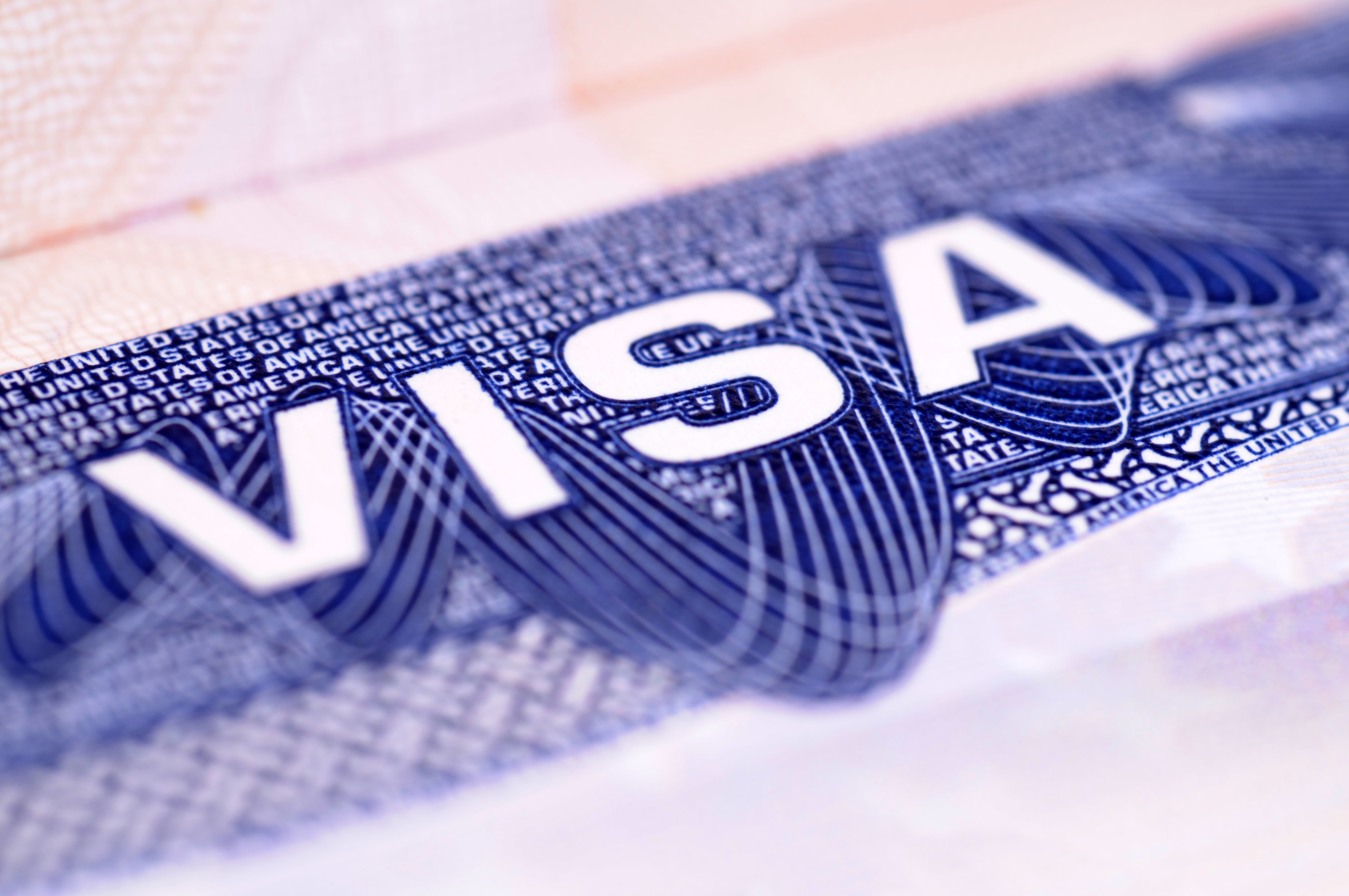 Visa Expenses