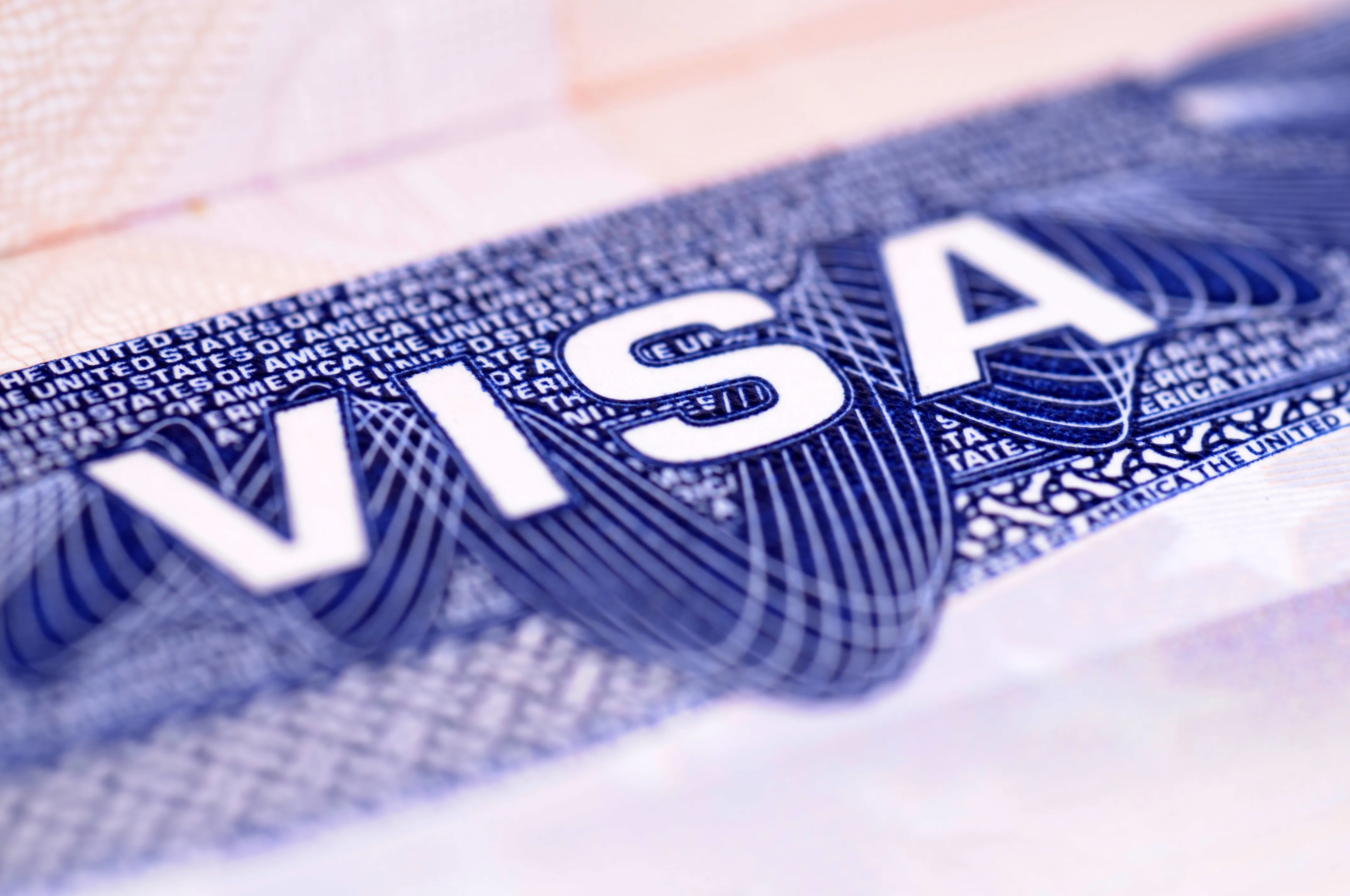 Visa Expenses