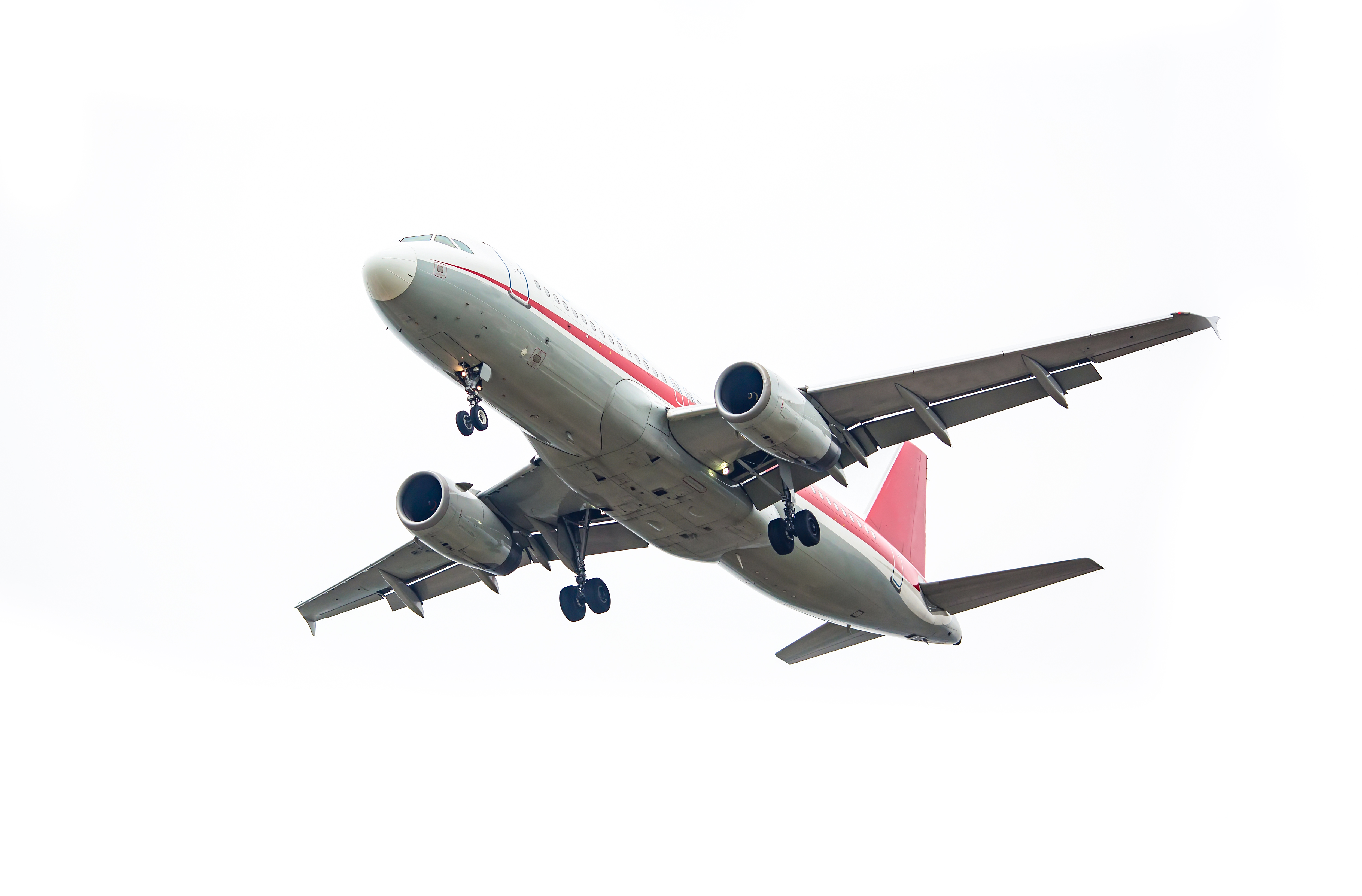 Flight Expenses