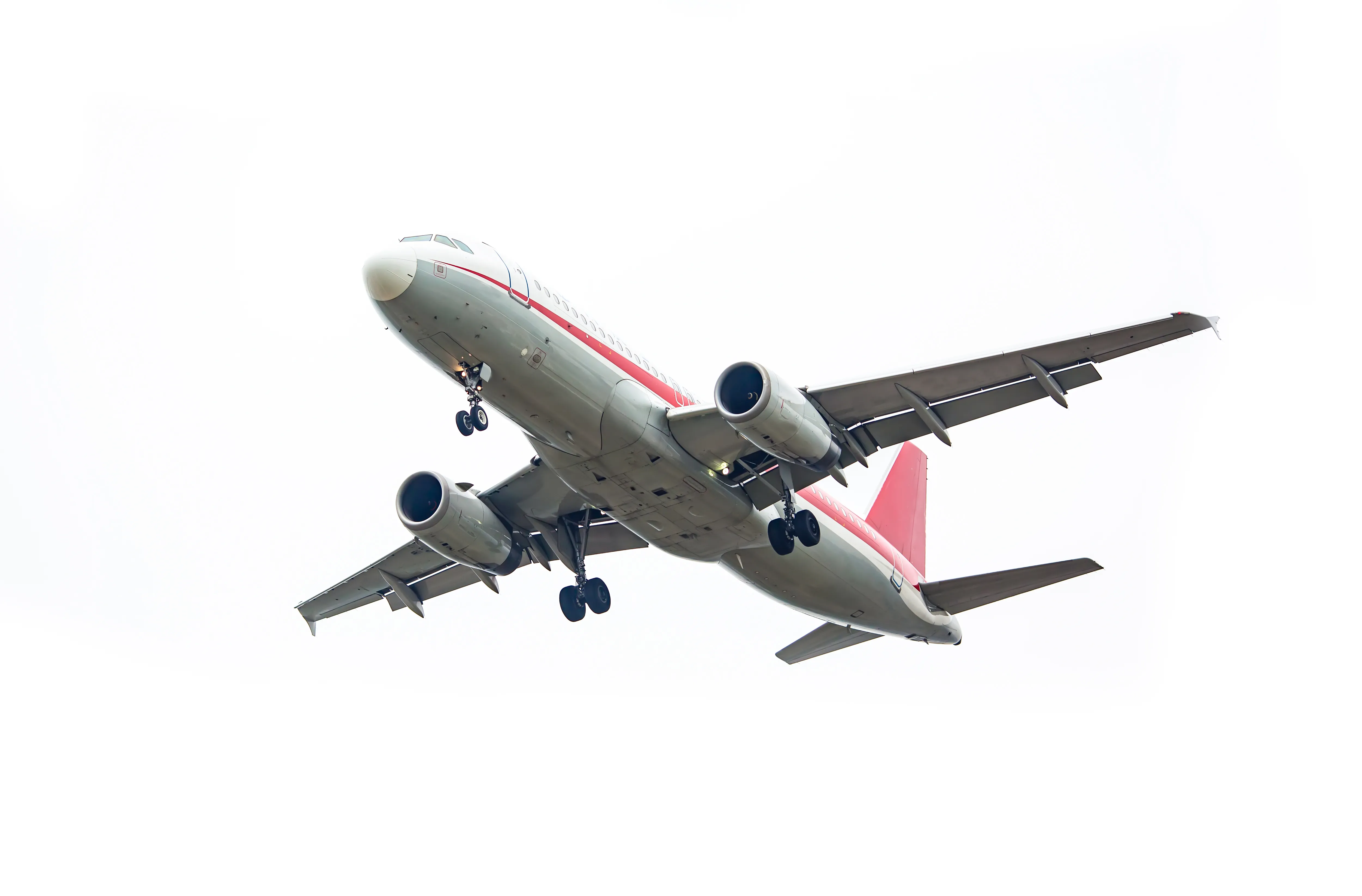 Flight Expenses