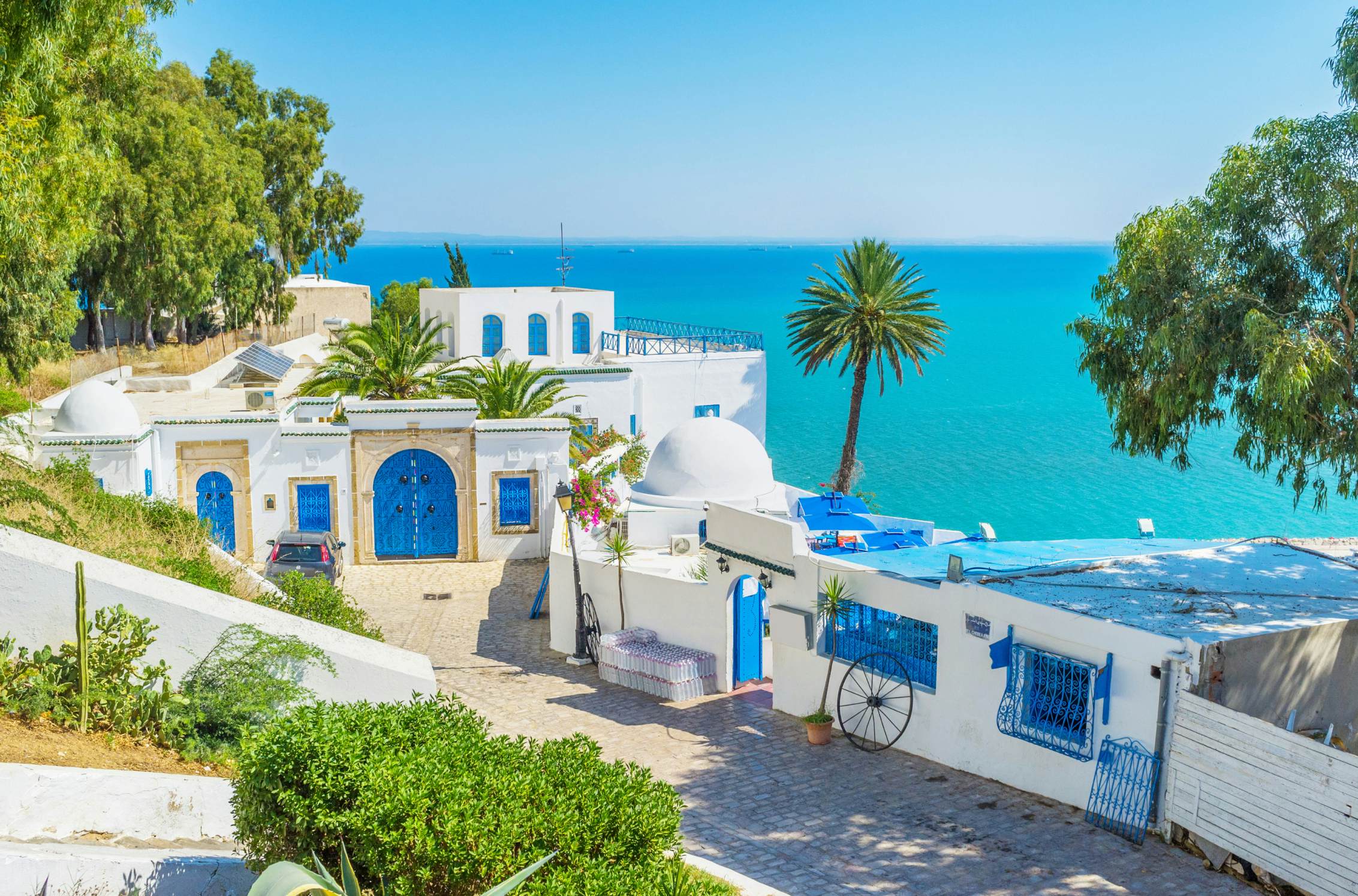 Pexels Tunisia