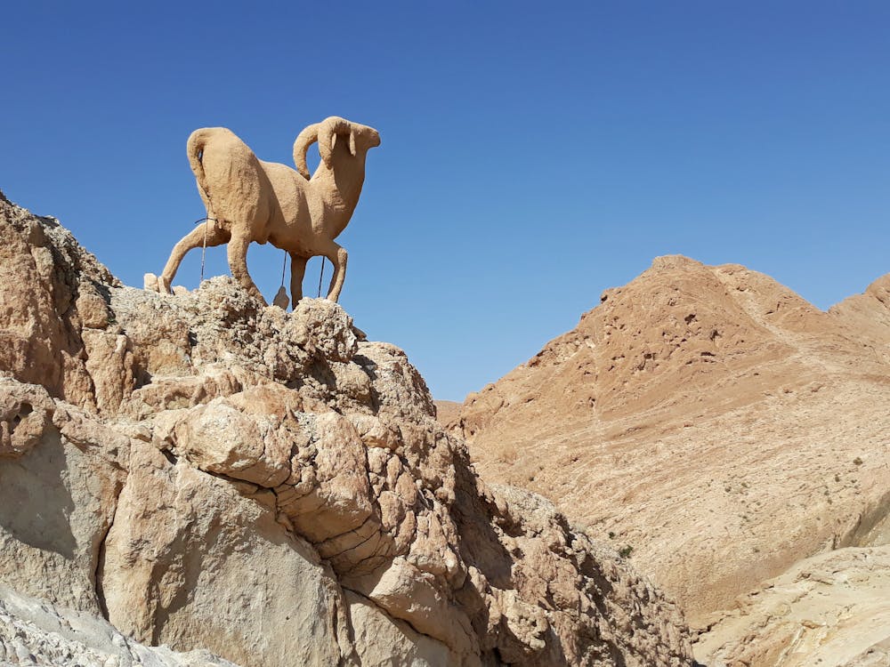 Desert Challenge